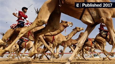 camel raffle|Camel .